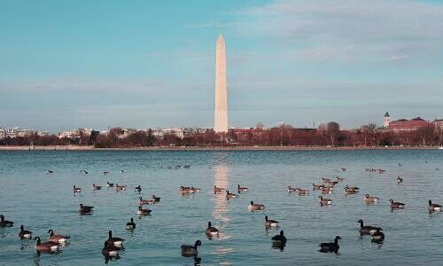 Washington Monument, Washington D.C. (Bild: Pexels / Samad Ismayilov)