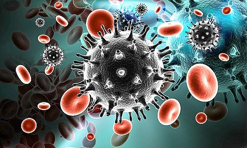 HIV-Virus, Bild@Shutterstock