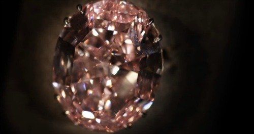 Pink Star Diamond 500