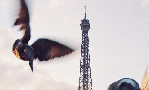 Eiffelturm in Paris (Bild: Stijn te Strake / Unsplash)