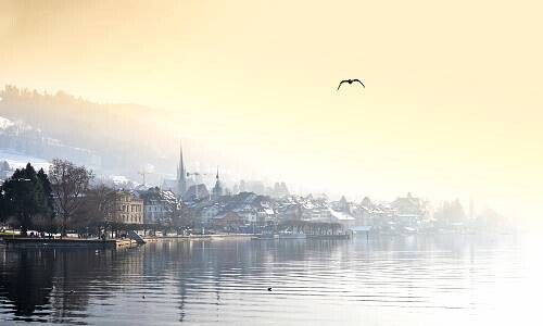 Blick auf die Stadt Zug (Bild: Shutterstock)