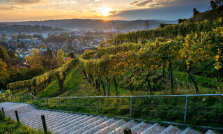 Blick über Winterthur von Bäumli (Bild: Shutterstock)