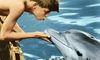 Ivan Pictet: «Wenn schon, dann bin ich ein aggressiver Delphin»