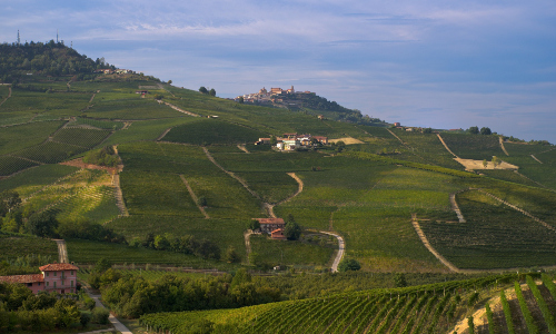 Weinregion Langhe 111