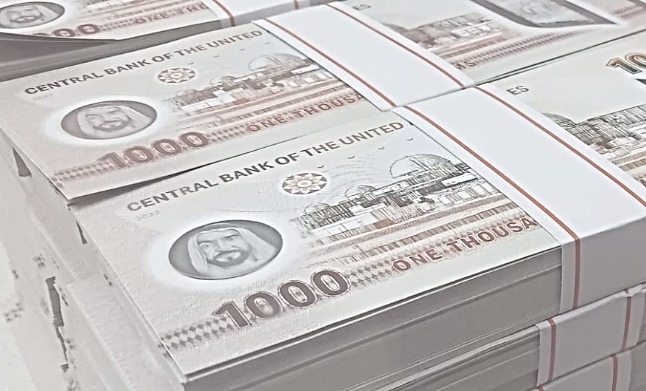 UAE: New Financial Law Increases Transparency, Strengthens Regulation