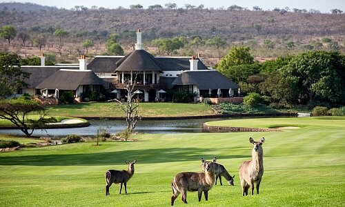 leopard creek 524