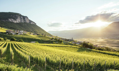 landschaft südtirol1