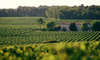 Exclusive Wines: Bordeaux Calls for a Bargain Hunt