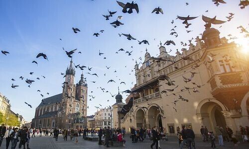 Altstadt von Krakau (Bild: Shutterstock)