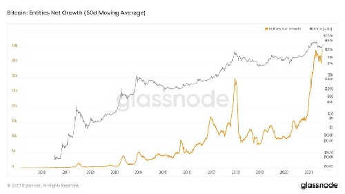 Bitcoin entities