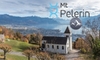 Frankencoin erklimmt Mt Pelerin