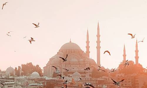 Istanbul (Bild: Caner Cankisi / Pexels)