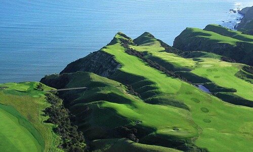 Capekidnappers 524