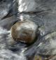 Reuss_Wasser