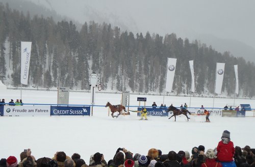 whiteTurf_skijring