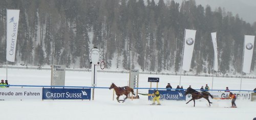 whiteTurf_skijring2