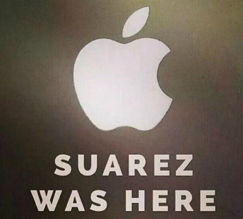 Suarez 500