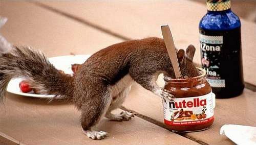 Nutella 500