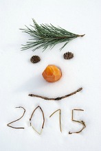 Snowman 2015
