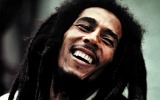 Marley 160