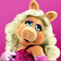 piggy