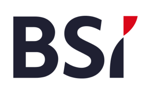 BSI Logo