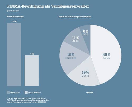 VSV Grafik 500