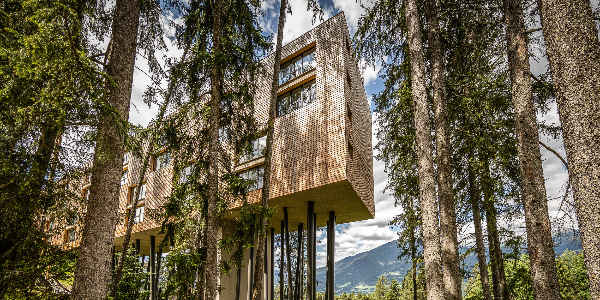 Das Hotel My Arbor im Sommer