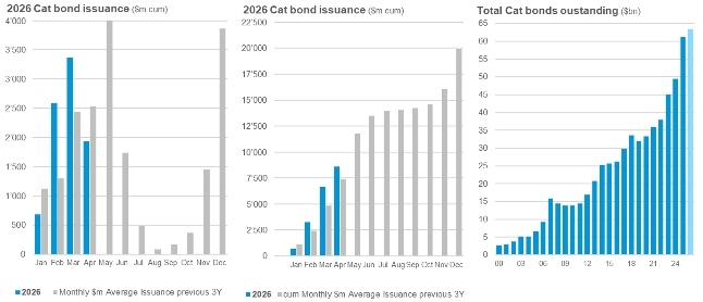 Cat Bond Grafik 1 klein